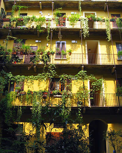 balcon garden