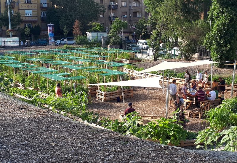 megnyitó08 megnyitó08