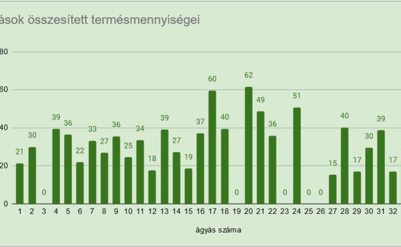 boszi-kert-termenyek-agyasok boszi-kert-termenyek-agyasok