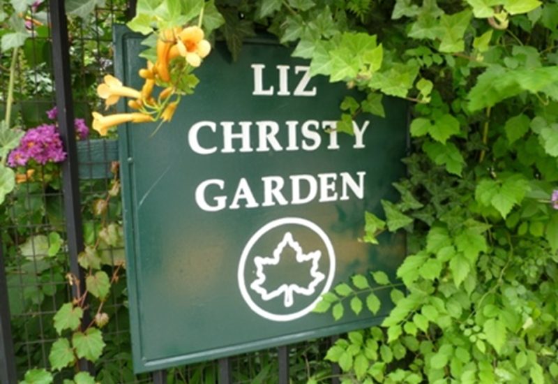 Liz-Chisty-Garden