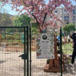 Tavasz van, ültető nap a Toldy kertben